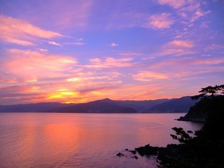 真鶴 海辺のリゾートホテル 碧い海 温泉 カップルで露天風呂 ペットと泊まれる宿